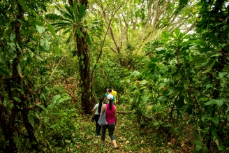 Isla Palenque-Island Hike